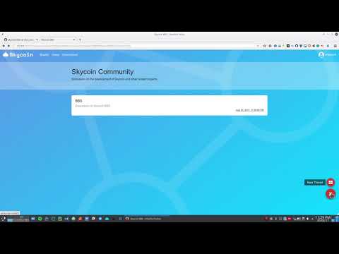 Skycoin BBS Showcase 4